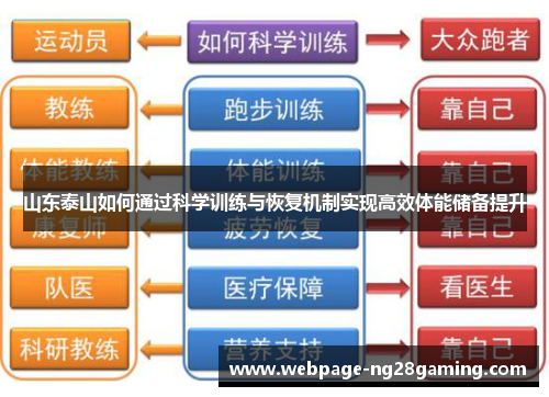 山东泰山如何通过科学训练与恢复机制实现高效体能储备提升