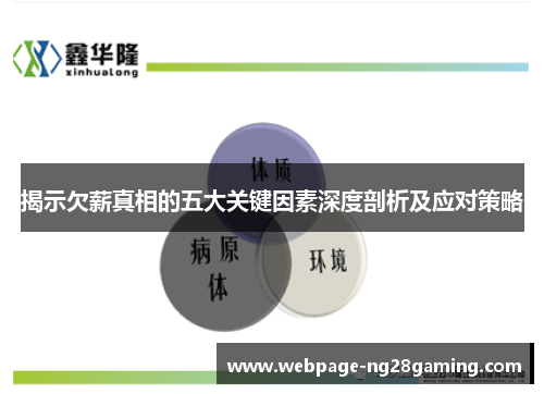 揭示欠薪真相的五大关键因素深度剖析及应对策略