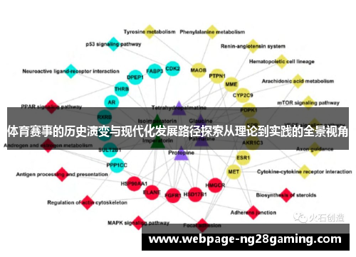 体育赛事的历史演变与现代化发展路径探索从理论到实践的全景视角