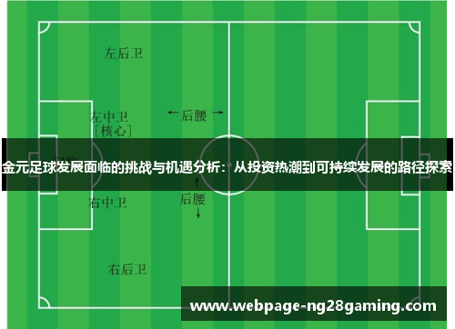 金元足球发展面临的挑战与机遇分析：从投资热潮到可持续发展的路径探索